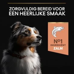 Pro Plan Medium Adult Sensitive Skin - Honden Droogvoer - Zalm - 14 Kg -Dierenwinkel 1200x1200 63