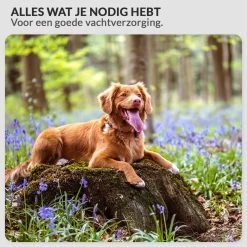 Krachtige Hondenföhn/ Waterblazer Met Draaiknop Om Overtollig Water En Stof Snel Uit De Vacht Te Blazen | Verstelbare Vermogen Standen (500W Tot 2200W) En Verstelbare Temperatuur - Type B Oranje 14 Krachtige Hondenföhn/ Waterblazer Met Draaiknop Om Overtollig Water En Stof Snel Uit De Vacht Te Blazen | Verstelbare Vermogen Standen (500W Tot 2200W) En Verstelbare Temperatuur - Type B Oranje -Dierenwinkel 1200x1200 640