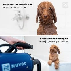 Nuvoo Professionele Hondenföhn / Waterblazer / Hondenborstel Met 3 Opzetstukken - Verstelbare Vermogen Tot 2200W - Warme / Koude Stand - Zwart -Dierenwinkel 1200x1200 671