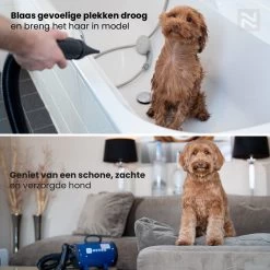 Nuvoo Professionele Hondenföhn / Waterblazer / Hondenborstel Met 3 Opzetstukken - Verstelbare Vermogen Tot 2200W - Warme / Koude Stand - Zwart -Dierenwinkel 1200x1200 672