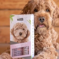 Greenfields Labradoodle Vacht Verzorgingsset - Shampoo En Anti-Klit Spray Voor Langharige Of Krullende Vacht -Dierenwinkel 1200x1200 706