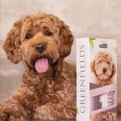 Greenfields Labradoodle Vacht Verzorgingsset - Shampoo En Anti-Klit Spray Voor Langharige Of Krullende Vacht -Dierenwinkel 1200x1200 707