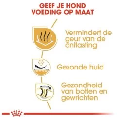 Royal Canin English Bulldog 12 KG -Dierenwinkel 1200x1200 73