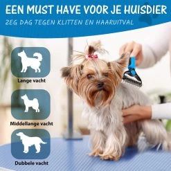 Hoogwaardige 2-Zijdige Hondenkam Hondenborstel Borstel Hond Klittenkam - Ondervacht Kam - Honden Borstel - Honden Kam - Hondenborstel Langharig - Hondenborstel Kortharig - Verwijdert Klitten - Voorkomt Verharing - Blauw - Woodoro 15 Hoogwaardige 2-Zijdige Hondenkam Hondenborstel Borstel Hond Klittenkam - Ondervacht Kam - Honden Borstel - Honden Kam - Hondenborstel Langharig - Hondenborstel Kortharig - Verwijdert Klitten - Voorkomt Verharing - Blauw - Woodoro -Dierenwinkel 1200x1200 751
