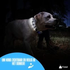 Fideli Anti Blafband - Zonder Schok - Grote En Kleine Honden - Oplaadbaar - LED Verlichte Band 18 Fideli Anti Blafband - Zonder Schok - Grote En Kleine Honden - Oplaadbaar - LED Verlichte Band -Dierenwinkel 1200x1200 827