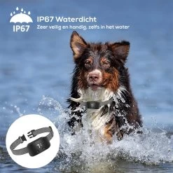 Salvano Anti Blafband - Blafband Voor Honden - Opvoedingshalsbanden - Voor Kleine En Grote Honden - Anti Blafband Zonder Schok- Oplaadbaar - Anti Blaf Apparaat - Blafband - Diervriendelijk 19 Salvano Anti Blafband - Blafband Voor Honden - Opvoedingshalsbanden - Voor Kleine En Grote Honden - Anti Blafband Zonder Schok- Oplaadbaar - Anti Blaf Apparaat - Blafband - Diervriendelijk -Dierenwinkel 1200x1200 830