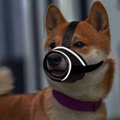 Merkloos Hoog Kwaliteit Muilkorf Met Bedrukt Patroon - Muilkorf Hond - Hondensnuit - Anti Blaf En Bijt - Voor Kleine En Grote Honden Maat M Zwart Reflecterend -Dierenwinkel 1200x1200 839