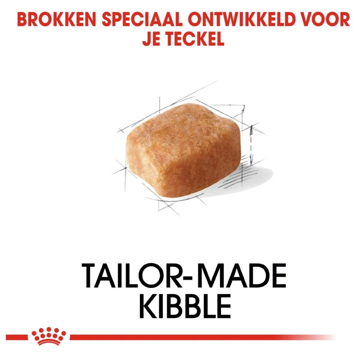 Royal Canin Dachshund/Teckel Adult 7.5 KG 5 Royal Canin Dachshund/Teckel Adult 7.5 KG - Afbeelding 3