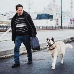 Merkloos Hoog Kwaliteit Muilkorf Met Bedrukt Patroon - Muilkorf Hond - Hondensnuit - Anti Blaf En Bijt - Voor Kleine En Grote Honden Maat M Zwart Reflecterend -Dierenwinkel 1200x1200 840