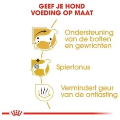 Royal Canin Dachshund/Teckel Adult 7.5 KG 19 Royal Canin Dachshund/Teckel Adult 7.5 KG -Dierenwinkel 1200x1200 85