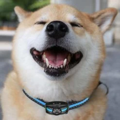 Premium Anti Blafband Apparaat Om Je Hond Snel En Effectief Te Laten Stoppen Met Blaffen - Diervriendelijke Opvoedingshalsband Zonder Schok - Trainingshalsband Voor Grote En Kleine Honden - Anti Blaf Apparaat - Correctie Halsband -Dierenwinkel 1200x1200 864