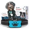 Anti Blafband - Blafband Voor Honden - Anti Blaf Apparaat - Blafband - Diervriendelijk & Zonder Schok -Dierenwinkel 1200x1200 870