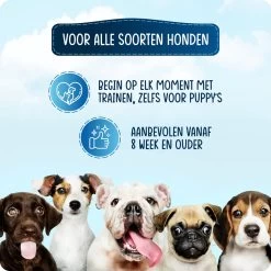 VEDIC® - Luxe Clicker Met Fluit - Clickertraining Voor Honden - Zwart - Bevestigingsring - Fluit - Hondentraining -Dierenwinkel 1200x1200 886