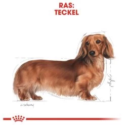 Royal Canin Dachshund/Teckel Adult 7.5 KG 26 Royal Canin Dachshund/Teckel Adult 7.5 KG -Dierenwinkel 1200x1200 89