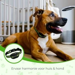 Petz - Anti Blafband - Anti Blafband Voor Kleine En Grote Honden - 5-55 KG - Vibratie En Audio - Diervriendelijk - GEEN Schokken - Opvoedingshalsband Zonder Schok En Diervriendelijk - Waterdicht - Oplaadbaar -Dierenwinkel 1200x1200 897