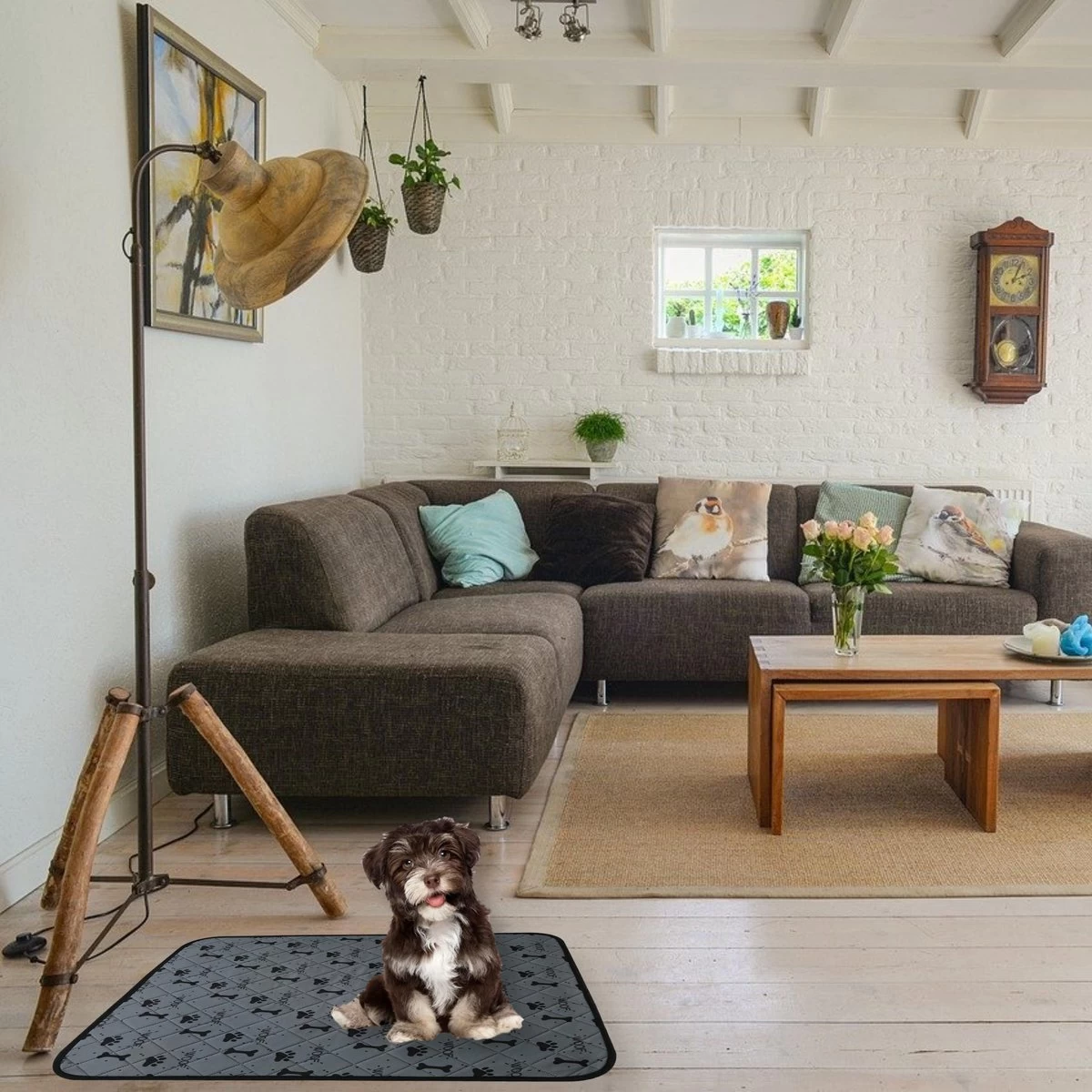 Jooba Puppy Training Pads - Wasbare Puppy Pads 2 Stuks - Hondentoilet - 70x50cm - Puppy 5 Jooba Puppy Training Pads - Wasbare Puppy Pads 2 Stuks - Hondentoilet - 70x50cm - Puppy - Afbeelding 3