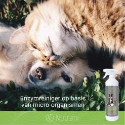 Nutrani Geurverwijderaar, 750 Ml, Natuurlijke Enzymreiniger Als Gebruiksklare Spray Met Biologische Werking, Verwijdert Geurtjes, Urine, Poep En Vlekken Van Honden En Katten -Dierenwinkel 1200x1200 946