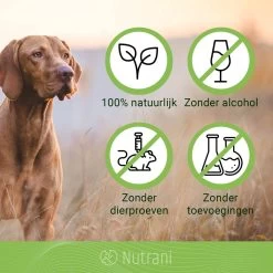Nutrani Geurverwijderaar, 750 Ml, Natuurlijke Enzymreiniger Als Gebruiksklare Spray Met Biologische Werking, Verwijdert Geurtjes, Urine, Poep En Vlekken Van Honden En Katten -Dierenwinkel 1200x1200 947