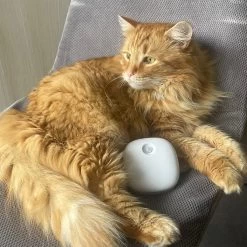 Pettadore Air Insight - Kattenbak Geurverdrijver & Teller - Actieve Zuurstof En Ionen - Oplaadbaar - Met App -Dierenwinkel 1200x1200 975