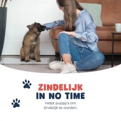 JC Pets Premium Puppy Training Pads - Hondentoilet - Zindelijkheidstraining Hond - 50 Stuks - 60 X 45 Cm -Dierenwinkel 1200x1200 981