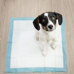 Springos Puppy Training Pads| Plasmatjes Hond | Zindelijkheidstraining | 10 Stuks | 35 X 45 Cm -Dierenwinkel 1200x1200 985