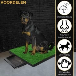 Toivo HondenToilet Kunstgras - Zwart - Geurafstotend - 62 X 49 X 6.6 CM - Honden Wc Outdoor - Zindelijkheidstraining Hond - Puppy Pads - Dierentoilet -Dierenwinkel 1200x1200 988