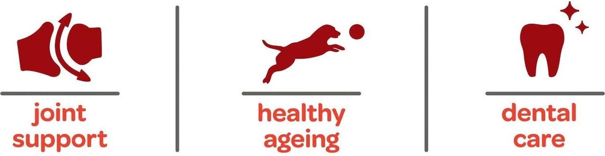 Smolke Senior Maxi - Rijst & Lam - Hondenvoer - 3 Kg 18 Smolke Senior Maxi - Rijst & Lam - Hondenvoer - 3 Kg - Afbeelding 16