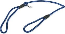 Merkloos Slipriem - Nylon - Riem Voor Hond - Blauw -Dierenwinkel 1200x629 1