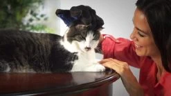 Vacht Verzorgingsborstel Voor Huisdieren - Blauw - LimitedDeals - Voor Honden Katten Konijnen Paarden - Tevens Massage Handschoen Voor Dieren! - Goed Voor De Verzorging Van De Vacht -Dierenwinkel 1200x674