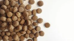 Carocroc Puppy Large Breed 15 KG -Dierenwinkel 1200x675 2