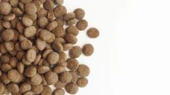 Carocroc Original 23/12 Hondenvoer - 3 Kg 18 Carocroc Original 23/12 Hondenvoer - 3 Kg -Dierenwinkel 1200x675 3