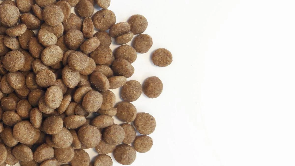 Carocroc Original 23/12 Hondenvoer - 3 Kg 7 Carocroc Original 23/12 Hondenvoer - 3 Kg - Afbeelding 5