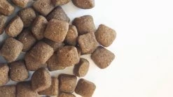 Carocroc Energy 25/16 - Hondenvoer - 15 Kg -Dierenwinkel 1200x675 5