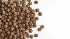 Carocroc Puppy 15 KG 19 Carocroc Puppy 15 KG -Dierenwinkel 1200x675 6