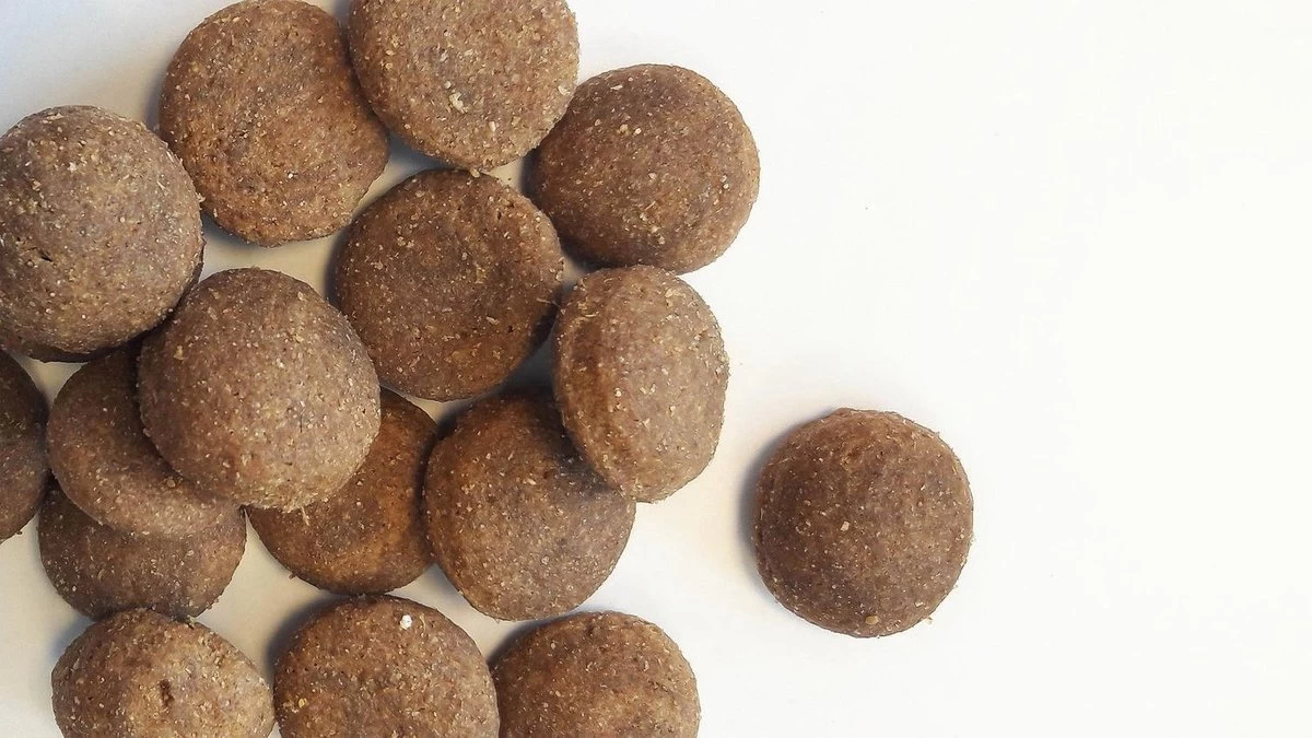 Carocroc Large Breed - Hondenvoer - 15 Kg 8 Carocroc Large Breed - Hondenvoer - 15 Kg - Afbeelding 6