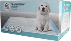 Homestyle Budget Trainingsmat - Zindelijkstraining - 100 Stuks - 58x58 Cm