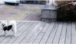 Hondenriem-Looplijn-Zwart/Grijs-8 Meter Oprol-Hond Lijn-Automatisch Rollijn -Dierenwinkel 1200x703