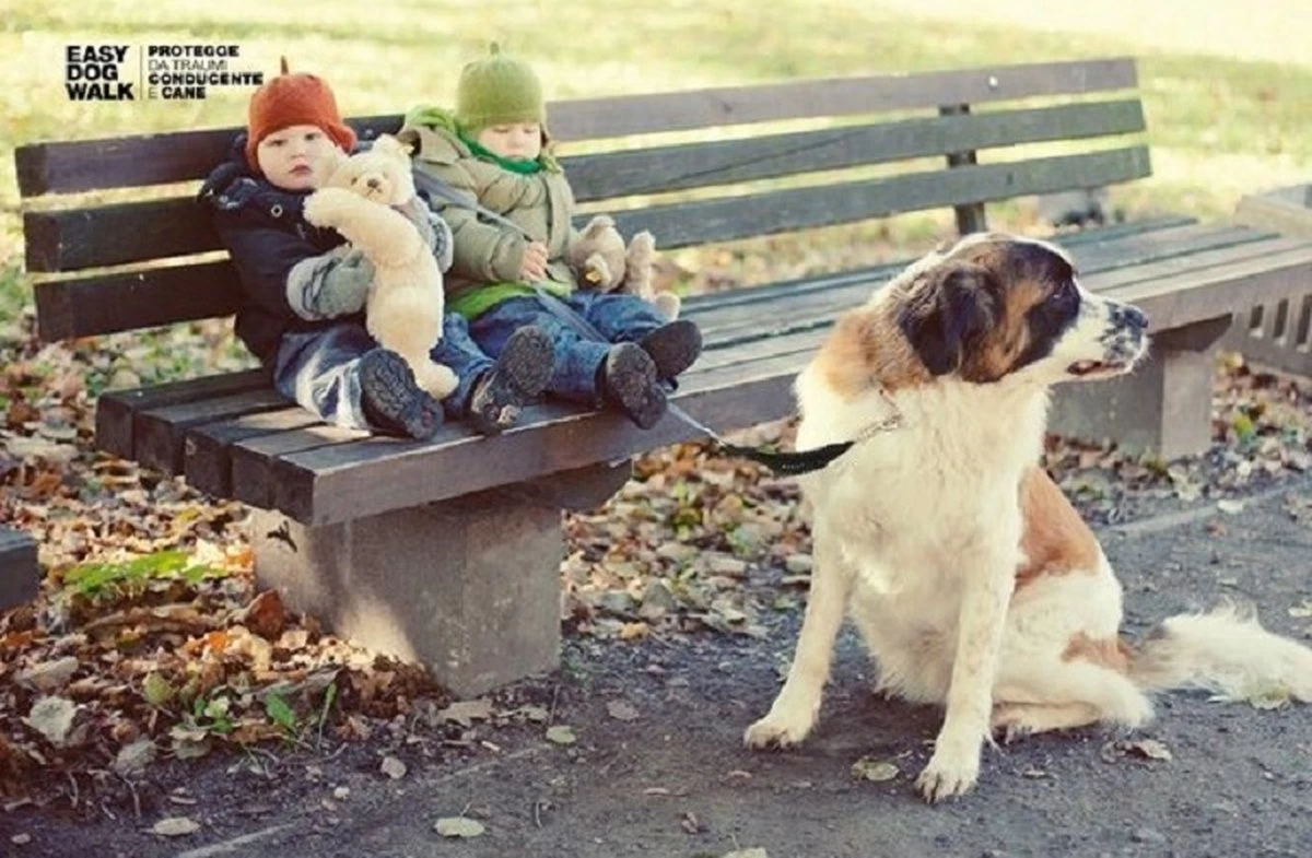 WAW Easy Dog Walk 'schokdemper' Zwart - XXL - >40 Kg 9 WAW Easy Dog Walk 'schokdemper' Zwart - XXL - >40 Kg - Afbeelding 7