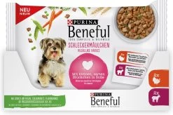 Beneful Pouch - Hondenvoer Kalkoen & Lam In Saus - 40 X 100 G -Dierenwinkel 1200x798 1