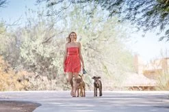 Wigzi Dual Doggie 2.0 Voor Twee Honden - Hondenriem - Grijs - 3m - <22 Kg (per Hond) -Dierenwinkel 1200x799 20