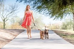 Wigzi Dual Doggie 2.0 Voor Twee Honden - Hondenriem - Grijs - 3m - <22 Kg (per Hond) -Dierenwinkel 1200x799 22