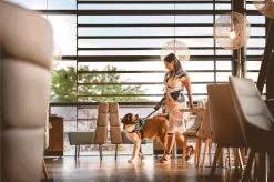 Julius K9 Julius-K9 IDC®Powertuig, XL - Maat 2, Zwart -Dierenwinkel 1200x799 27