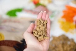 Kivo Petfood PROEFZAKJE Hondenbrokken Lam & Rijst 300 Gram - Koudgeperst - Glutenvrij -Dierenwinkel 1200x799 3