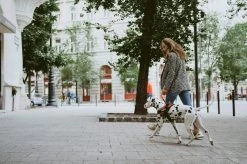 Julius K9 Julius-K9 IDC®Powertuig, M - Maat 0, Camouflage -Dierenwinkel 1200x799 32