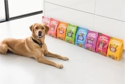 Edgard & Cooper Verse Scharrelkip Adult - Hondenvoer - 7kg 36 Edgard & Cooper Verse Scharrelkip Adult - Hondenvoer - 7kg -Dierenwinkel 1200x800