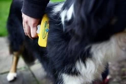 Furminator® Hond Langhaar - Vermindert Haaruitval Tot 90% - Hondenborstel - L -Dierenwinkel 1200x800 32