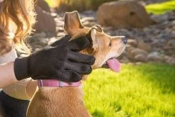 Merkloos Vachtverzorgingshandschoen -Dierenwinkel 1200x800 37