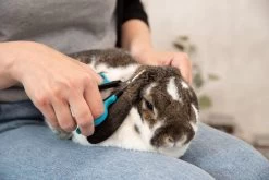 Trixie Gezicht- En Potenschaar Kunststof / Rvs 8 Cm -Dierenwinkel 1200x800 42