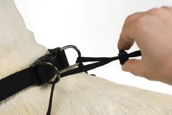 Beeztees Gentle Walker - Hondentuig - Zwart - M 10 Beeztees Gentle Walker - Hondentuig - Zwart - M -Dierenwinkel 1200x800 80