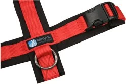 Annyx Hondentuig Harnas Zwart Rood - Y Model - Maat S Is Geschikt Voor Borstomvang 52-64cm. -Dierenwinkel 1200x808 1